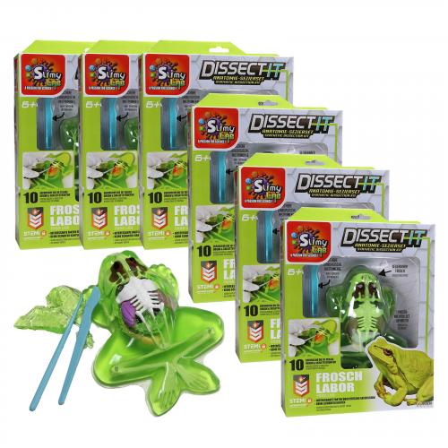 6er Set Kinder Anatomie Sezierset Frosch Slimy Lab dissect-it 6+